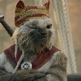 人気キャラ・アイルー