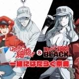 今期アニメもイベント充実 「はたらく細胞!!」「はたらく細胞BLACK」「リゼロ」「ゆるキャン△」など