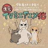 「しかるねこ」今春TVアニメ化 30秒のミニアニメ形式で放送