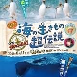 タイトルは「驚き!海の生きもの超伝説 劇場版ダーウィンが来た!」