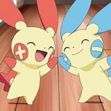 からあげ姉妹が声を担当するポケモンのプラスルとマイナン