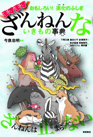書籍第6弾が発売