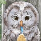 短編アニメ「青い羽みつけた!」追加キャストに綿貫竜之介&木村良平