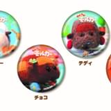 全8種のマグネット