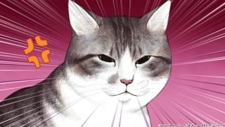 ズン姐さん(CV:小山茉美)