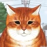 ちゃー(CV:岡本信彦)