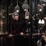 中面サンプルカット