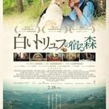 ルカ・グァダニーノ製作総指揮「白いトリュフの宿る森」22年2月公開 予告編は津田健次郎がナレーション