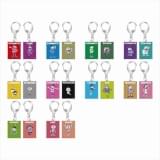 【グッズ画像】トレーディングハメパチキーホルダー