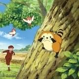 放送45周年「あらいぐまラスカル」6月30日まで全話無料配信