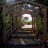 どんどこ森の「どんどこ堂」