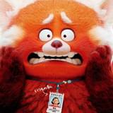 「私ときどきレッサーパンダ」