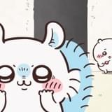 「ちいかわ」9月16日放送回にモモンガ初登場 ちいかわ&ハチワレはカルメ焼き食べる