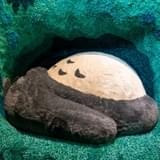 ジブリの大倉庫 ネコバスルーム