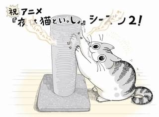 キュルZ氏のお祝いイラスト