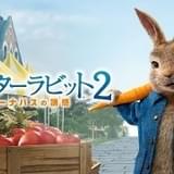 「ピーターラビット2」3月24日に金曜ロードショーで地上波初放送 本編ノーカット版、ピーターの吹き替えは千葉雄大