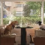 オリジナルラブストーリーが描かれる