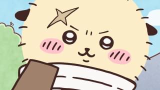 みんなの憧れラッコさんが初登場！