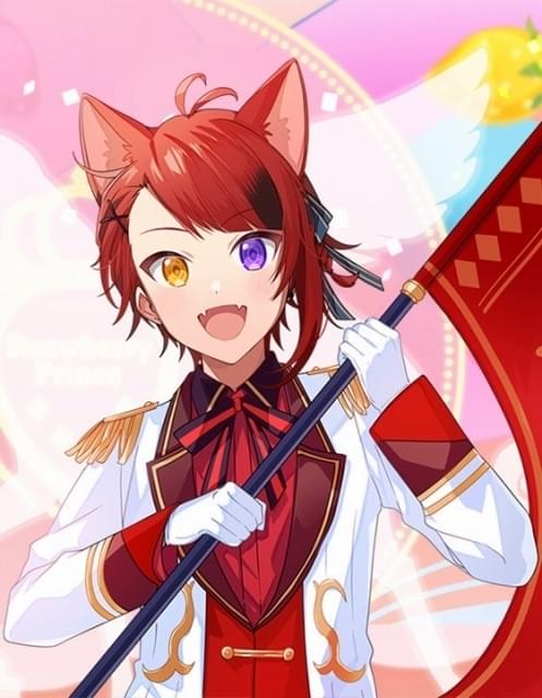 劇場版Re:STARS 豪華版 DVD 莉犬くん 劇場版Re:STARS 豪華版 DVD 莉犬くん 劇場版「Re:STARS 〜未来