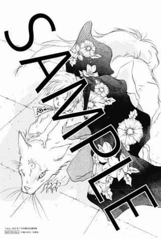 書店共通特典ペーパー：「LaLa」23年7月号