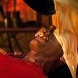 チーズフォンデュ拷問、チーズ筋トレ…実写R18＋映画「マッド・ハイジ」“すべてがおかしい”場面写真