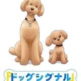 「ドッグシグナル」に小野賢章、鈴村健一ら出演 監督は「SPY×FAMILY」の古橋一浩