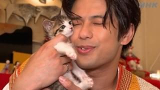 もふもふ×温泉×俳優×声優で癒す旅番組「もふもふ温泉」8月23日から3夜連続放送 ガイドは悠木碧＆早見沙織