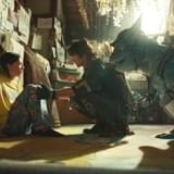 「ワンダーハッチ 空飛ぶ竜の島」アニメと実写が交差する予告完成 田中麗奈、三浦誠己、成海璃子、SUMIREが参加