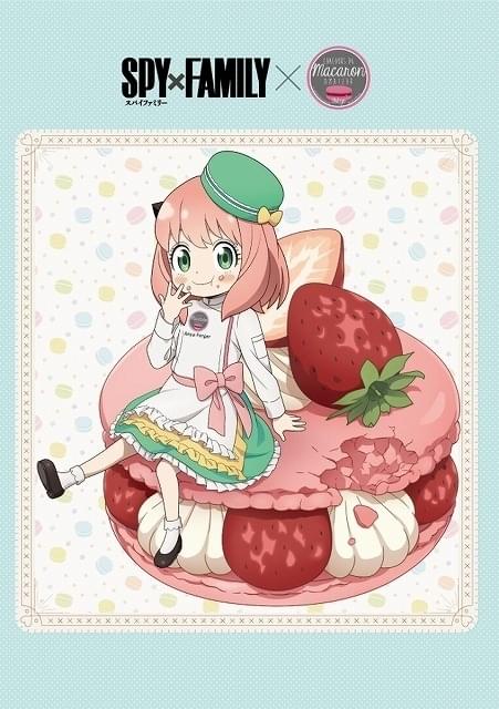 アーニャ　バーントバーガンディー ⑧ブルーグロー大株　姫青蓮 特極上株 SPY×FAMILY」新章「豪華客船編」のPVが公開 全日本マカロン協会との