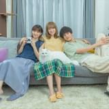 漫画「三日月とネコ」実写映画化、24年5月公開 主演は安達祐実、倉科カナ、渡邊圭祐