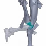 劇中のポージングを再現するために首や手首、股関節などの可動化を実現