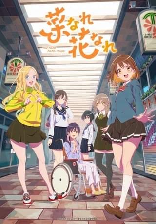 P.A.WORKS制作「菜なれ花なれ」中川梨花、中島由貴らメインキャスト発表 キャラPV＆ビジュアルも公開