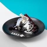 ザフトのために ～忘れはしない誇り～