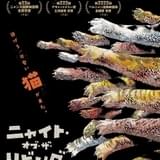 「ニャイト・オブ・ザ・リビングキャット」25年にTVアニメ化決定 猫に支配された世界が舞台