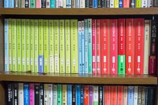 【編集Gのサブカル本棚】第36回 酒見賢一と漫画・アニメ・ゲームの関係