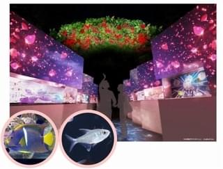 追憶の花園 ※イメージ画像