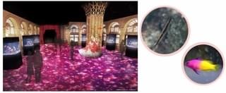 王妃のロイヤルバンケット ※イメージ画像