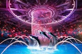 ドルフィンパフォーマンス「美しき薔薇物語」 ※イメージ画像