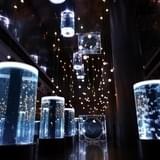 白薔薇のワルツ ※イメージ画像