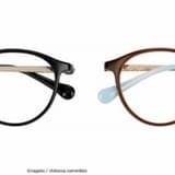 ハチワレモデル