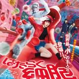 永野芽郁＆佐藤健が“体内世界”へ 実写映画「はたらく細胞」ポスター公開