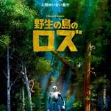 ドリームワークス最新作「野生の島のロズ」ティザービジュアル&新場面写真公開 「天空の城ラピュタ」のロボット兵が指針に