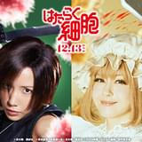 実写「はたらく細胞」キラーT細胞の山本耕史、NK細胞役の仲里依紗、松本若菜ら新キャスト発表