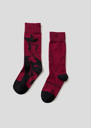 神出鬼没の大泥棒|ロングソックス