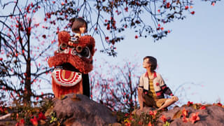 「雄獅少年/ライオン少年」