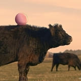 「タコピーの原罪」ショート動画の一場面