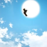 「名探偵コナン 黄金の御馳走」篇 30秒バージョン 場面写真