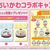 くら寿司×ちいかわ、6月27日からコラボ実施 ハチワレの“お寿司茶漬け”や報酬袋モチーフのコラボメニュー登場