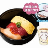 「湧きドコロごはんのお寿司茶漬け」480円