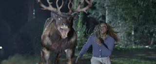 バンビがゾンビに